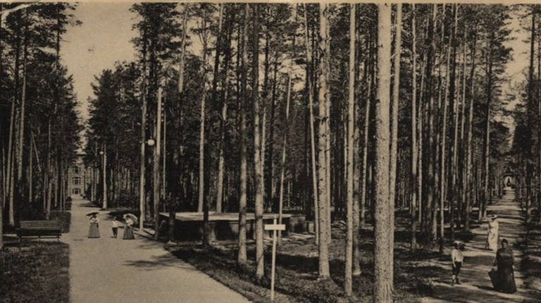 Парк курорта