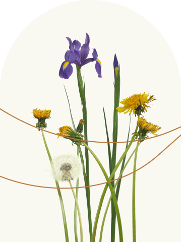 Медицинские услуги высокого класса