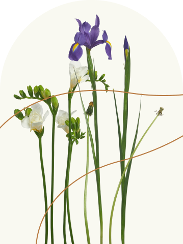 Профили лечения