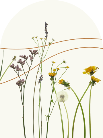 Программы лечения, учитывающие индивидуальные особенности и рекомендации врачей